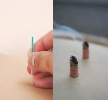 �����񍐎ʐ^